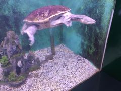 -常州海昌海洋探索馆