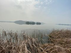 -东湖落雁景区