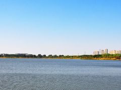 -莱西月湖公园