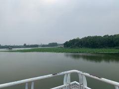 -大兴滨河森林公园