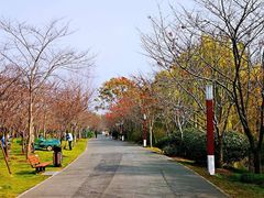 -自然谷恐龙园