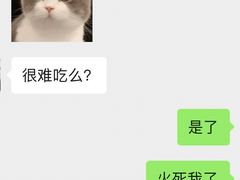 -金掌勺锅包肉(太原万达店)