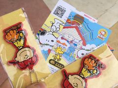 -史努比缤纷世界