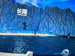 -珠海长隆海洋王国