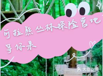 春日遛娃就去可拉熊丛林探险营地～