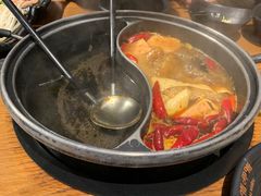 -呷哺呷哺(宝山正大乐城店)