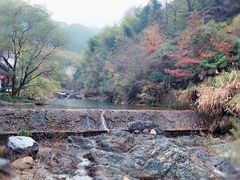 -黄山翡翠谷景区