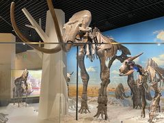 -国家自然博物馆