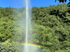 -小乡小镇·传承桐庐土菜·老板亲自烧的菜