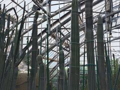 -南山植物园