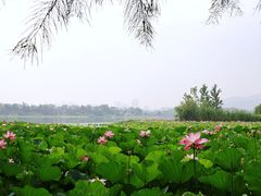 -云龙湖旅游景区