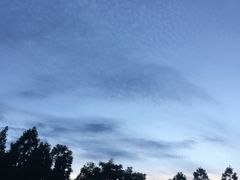 -崇明东平国家森林公园烧烤房车露营地