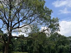 -华南国家植物园-售票处