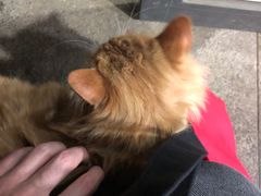 -钟永庆水饺(红星路南延线一段)