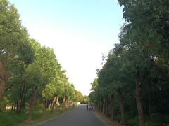 -上海海湾国家森林公园