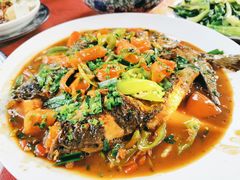 -生态苑农庄(十里画廊遇龙河店)