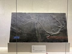 -柳州白莲洞洞穴科学博物馆