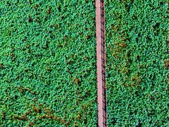 -泗洪洪泽湖湿地景区