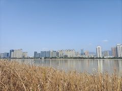 -江心屿景区