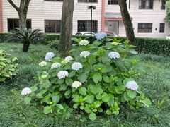 -浙江省博物馆(孤山馆区)