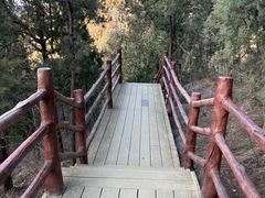 -佛慧山