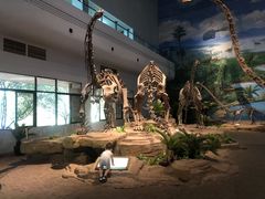 -自贡恐龙博物馆