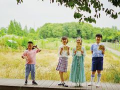 -田园东方蜜桃村的田野营地
