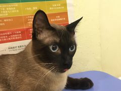 -美迦爱-牙专科·兔科·骨科诊疗中心(北苑店)
