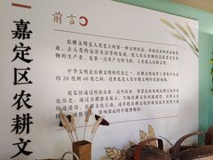 -菊园百果园