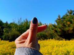 -永定河休闲森林公园