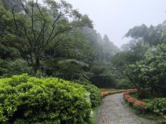 -庐山风景区花径公园