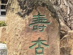 -苏州文庙(姑苏区)