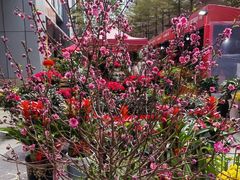 -天虹购物中心(深圳龙华店)