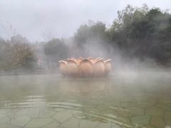 -洪湖悦兮半岛国际温泉度假村