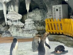 -海合安武汉极地海洋公园
