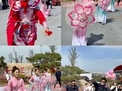 -荷兰花海