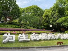 -重庆彩云湖湿地公园