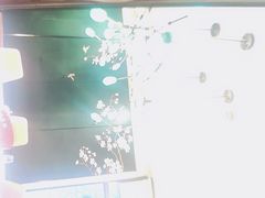 -百姓渔村(南中环店)