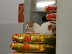 -容里煲仔饭(利丰北路店)
