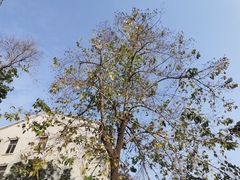 -杭州半山国家森林公园