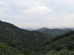 -西湖风景区十里琅珰-五云山