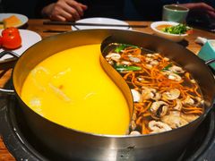 -青瓷火锅料理(西单大悦城店)
