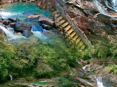 -广州白江湖森林公园