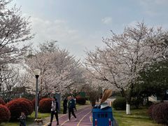 -尚贤河湿地