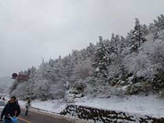 -武陵山森林公园