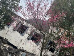 -北川老县城地震遗址