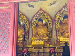-西安大兴善寺