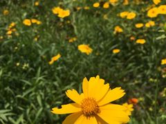 -洨河生态公园