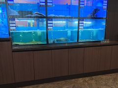 -聚宾楼·烤鸭·家宴(科技三路店)