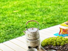 -武陵山森林公园